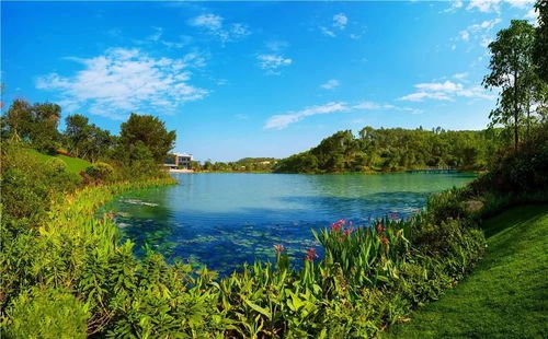 湖北旅游探秘，魅力无限的湖光山色之旅