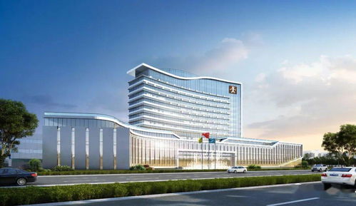 湖北房产投资创业,2020湖北省房地产10强企业