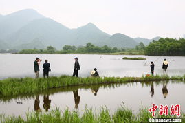 湖北有没有避暑旅游,湖北避暑去哪里