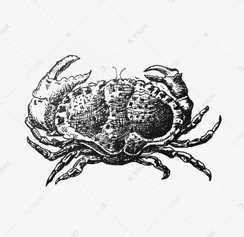 湖北美食手绘黑白图高清图片展示