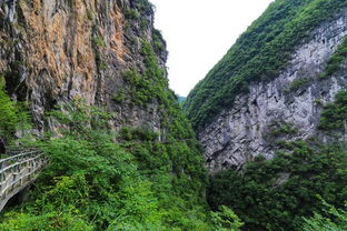湖北恩施旅游景点介绍与攻略指南 湖北恩施旅游景点介绍与攻略指南