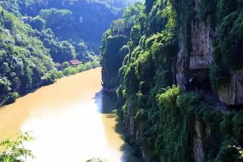 湖北小众旅游景点英语介绍及必背短语指南