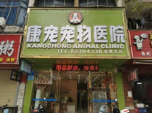 湖北美食门店排行首位揭晓，哪家门店荣登榜首？