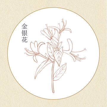 湖北美食插画场景手绘线稿素材展示