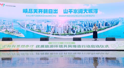 湖北佳音旅游及其发展公司概览