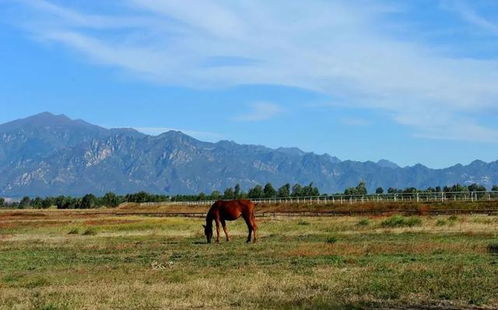湖北旅游什么时候免费,湖北旅游免票到什么时候 湖北旅游什么时候免费,湖北旅游免票到什么时候