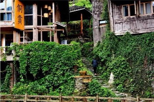 湖北乡村旅游，探寻知名景点的魅力之旅