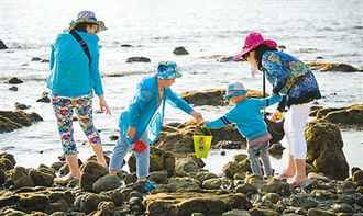 湖北男子三亚旅游遭遇抓捕风波