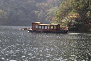 湖北周末旅游胜地探访，探索湖北境内的周末度假好去处