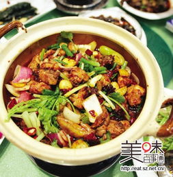 湖北杜家鸡深度解析，美味体验与制作指南