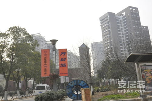 湖北房产圈武汉万科,武汉万科房地产公司