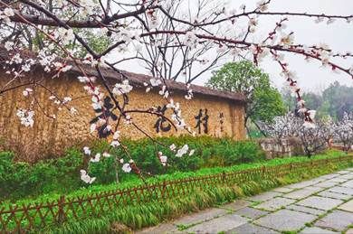 湖北杏花村旅游攻略，景点大全与旅游体验