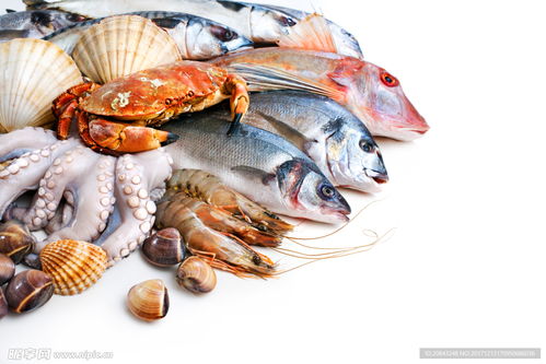 湖北海鲜美食指南，探索湖北的海鲜美食文化