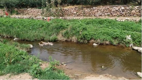 湖北农村小镇旅游，发展现状与探索