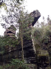 湖北恩施石林旅游攻略及图片大全