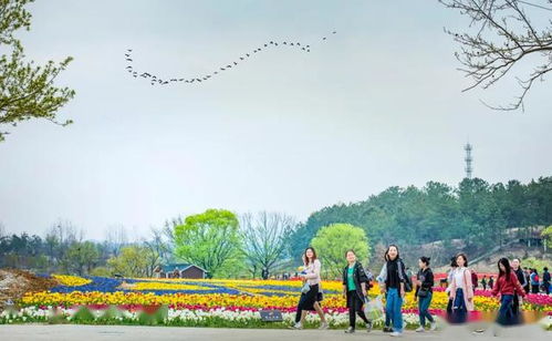 武汉加油助力湖北旅游，共筑湖北美好明天