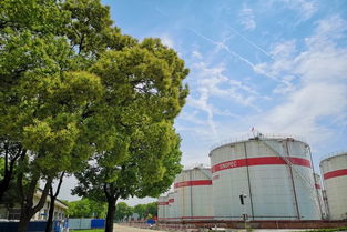 武汉加油助力湖北旅游，共筑湖北美好明天