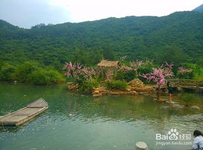 湖北仙桃亲子游与一日游攻略