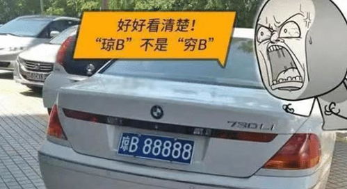 湖北旅游车牌样式揭秘，湖北车牌子特点概述