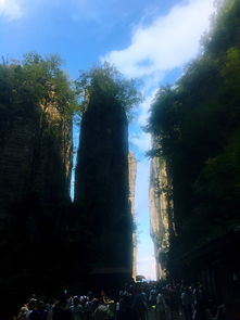 湖北恩施旅游讲解,湖北恩施旅游胜地