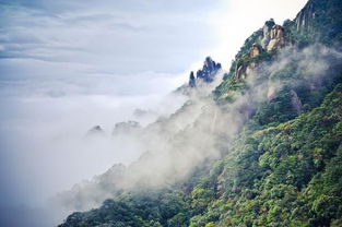 湖北安徽江西之旅,探秘江西、安徽与浙江的绝美旅游景点 湖北安徽江西之旅,探秘江西、安徽与浙江的绝美旅游景点