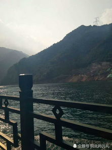 湖北长阳旅游船,湖北长阳船上吃鱼的地方