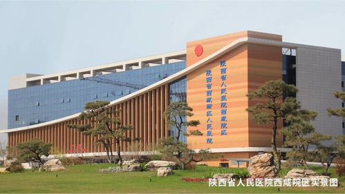 湖北房产销售视频，房产销售精彩瞬间展示