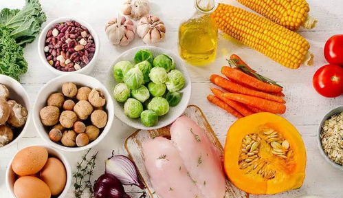 湖北美食养生大赏，回顾饮食养生汇