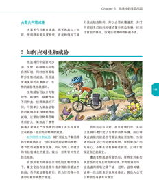 湖北旅游必备指南，需带物品及门票问题解析