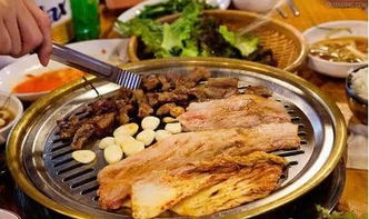 黑龙江湖北美食,黑龙江美食视频播放