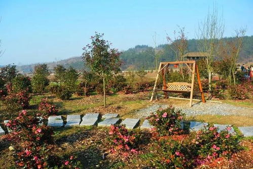 湖北燕儿谷旅游探秘，燕儿谷景区之旅