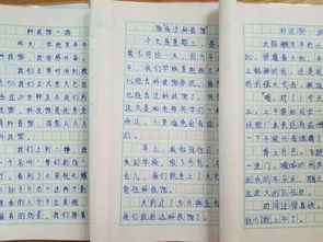 湖北美食作文范文精选，探索四年级美食之旅