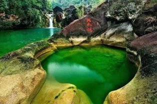 湖北绿林山旅游,湖北绿森林