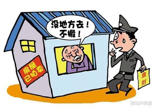 湖北房产确认产权,房屋产权确认