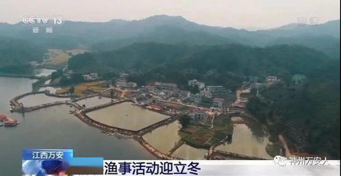 湖北江陵县旅游攻略，探索江陵县的旅游胜地与精彩体验