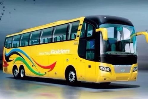 湖北旅游包机与包车之旅的独家图片展示