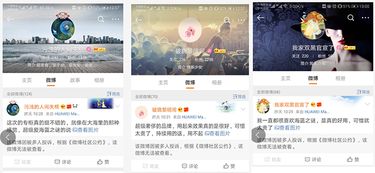 湖北美食博主七七身份揭秘，微博网红七七简介