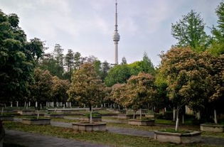 湖北汉阳区旅游攻略，汉阳旅游必去景点推荐