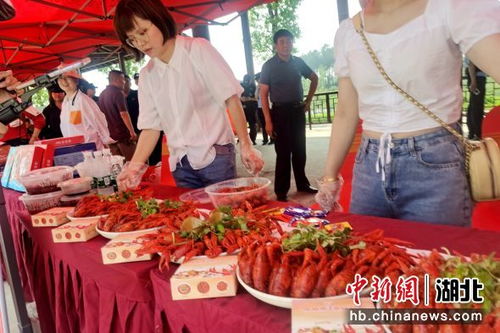 湖北美食之旅,游玩攻略大揭秘 湖北美食之旅,游玩攻略大揭秘