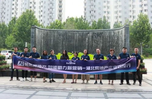 湖北房产策划最新价格动态及调整概览