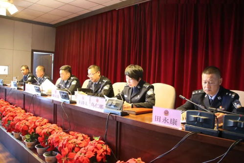 柏林与湖北旅游管理专升本教育，专业对接与院校概览