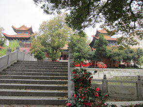 湖北旅游三侠图片与三日游线路设计方案揭秘