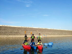 湖北洈水旅游公司,湖北洈水风景区简介