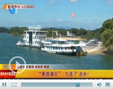 湖北洈水旅游公司,湖北洈水风景区简介