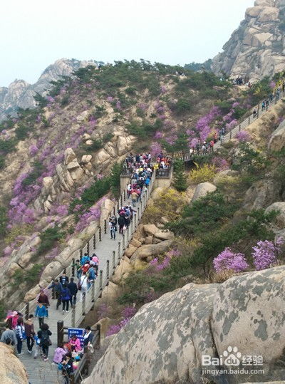 湖北麻城旅游全攻略，必备信息与景点推荐