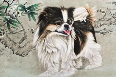 耶耶湖北美食与属马狗人的2021年运势解析