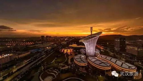 湖北腾旅游与武汉腾旅科技，旅游科技的融合与发展