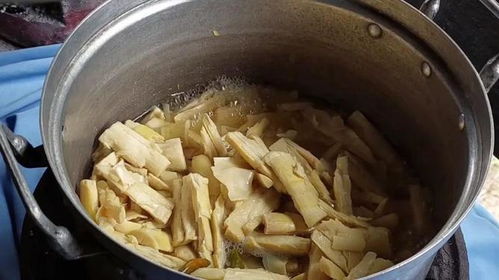 湖北竹笋美食,品味竹笋佳肴与欣赏竹笋图片