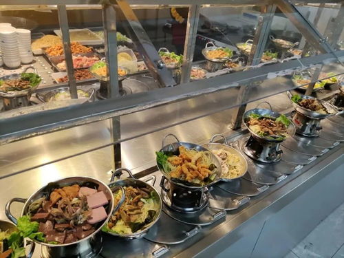 湖北美院食堂美食与校园风光视频大全 湖北美院食堂美食与校园风光视频大全