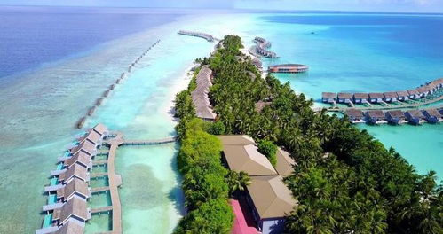 湖北星岛旅游攻略，探索星岛旅游景点的魅力